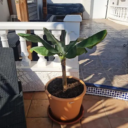 Villa Casa Des Loups *