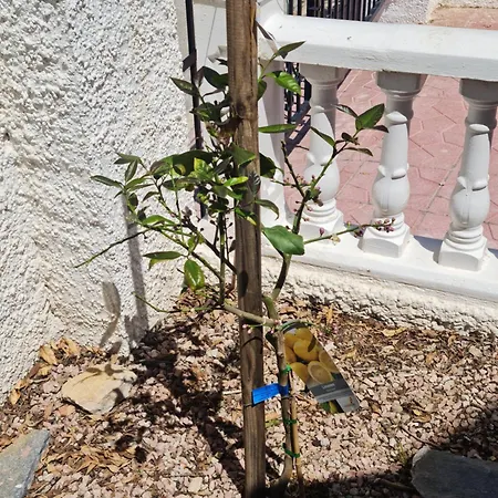 Casa Des Loups Villa Ciudad Quesada