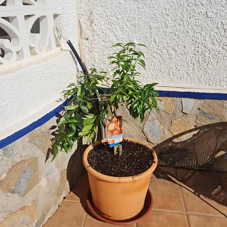 Βίλα Casa Des Loups *